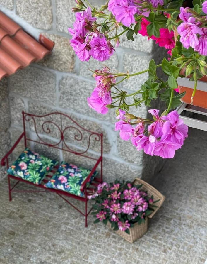 Casa Da Portela - Sem Igual Meinedo Exterior foto